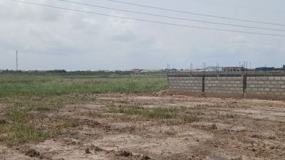 Full Sized Plots at Tema Community 25, Cedar Court - Adom Estate Road, Dawhenya, Tema, Accra, Mixed-use Land for Sale