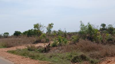 Affordable Coastal Plots in Prampram, Beach Lane-city of David, Ningo Prampram District, Accra, Residential Land for Sale