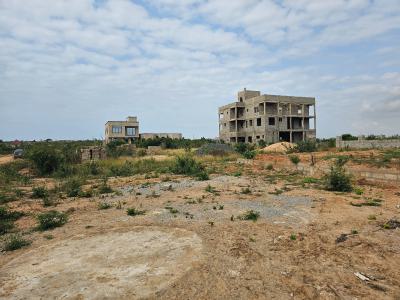 Heavy Slashed Down Half Plots at Prampram Beach Road, New Ningo Police Station, Tsopoli, Ningo Prampram District, Accra, Mixed-use Land for Sale