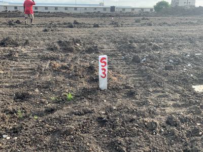 Plots You Can Trust -- Dawhenya Zion City, Central University, Dawhenya, Tema, Accra, Residential Land for Sale