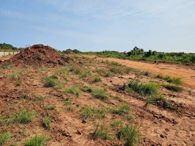 Accessible Executive Half Plots at Prampram Beach Lane, New Ningo Police Station, Ningo Prampram District, Accra, Mixed-use Land for Sale