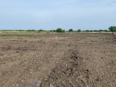 Live Where Peace Meets Progress - Tsopoli, Central University, Tsopoli, Ningo Prampram District, Accra, Mixed-use Land for Sale