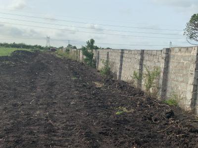 Where Dreams Build Foundations, Central University, Dawhenya, Tema, Accra, Residential Land for Sale