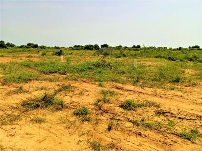 - Your Future Starts with Verified Land - Solomon Court, Prampram, African Ancestral Walls, Ningo Prampram District, Accra, Mixed-use Land for Sale