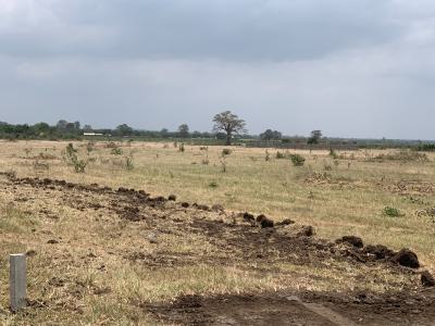 Destination, Tsopoli -- The Plot That Builds Your Tomorrow, Tsopoli Police Barrier, Tsopoli, Ningo Prampram District, Accra, Mixed-use Land for Sale