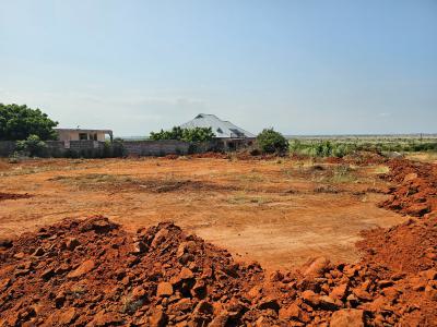 Solomon Court, Prampram---clean Documents, Easy Access, African Ancestral Walls, Prampram, Ningo Prampram District, Accra, Mixed-use Land for Sale