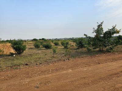 Price Within Budget on Half Plots at Tema Comm. 25, Cedar Court /, Dawhenya, Tema, Accra, Residential Land for Sale
