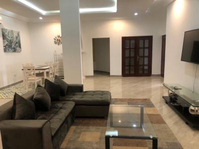 Furnished 4 Bedroom Apartment with Private Terrace, Tseaddo, East Airport, Airport Residential Area, Accra, Apartment for Rent