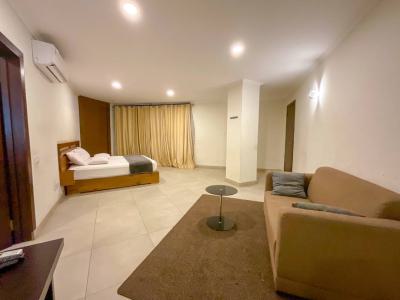 Furnished Studio Apartment, East Airport, Airport Residential Area, Accra, Single Room Self Contained for Rent
