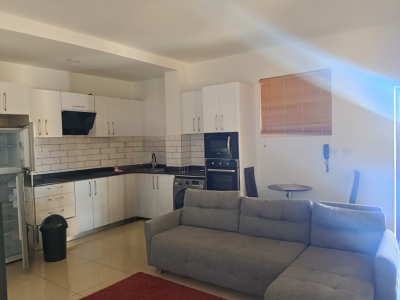 Furnished One Bedroom Apartment with Rooftop Terrace, Osu, Accra, Mini Flat for Rent
