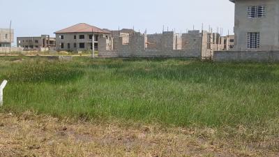 Cedar Court Vista -- Mixed-use Plot with Prime Access, Devtraco Road, Community 25, Tema, Accra, Mixed-use Land for Sale