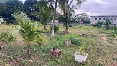 Almost 2 Acres of Title Land, Tesano, Accra, Land for Sale
