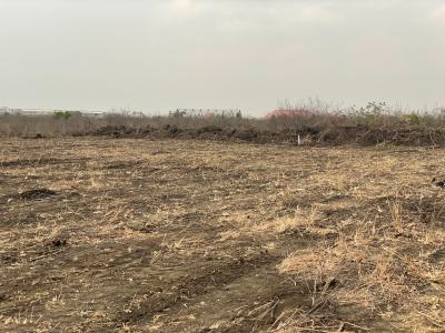 Tsopoli Buerko <<< Special Payment Offers, Police Barrier, Tsopoli, Ningo Prampram District, Accra, Mixed-use Land for Sale