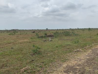 Tsopoli Green Lands -- Half Plot in Destination Residence, Tsopoli Police Barrier, Tsopoli, Ningo Prampram District, Accra, Mixed-use Land for Sale