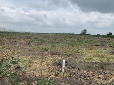 Peaceful Half Plot in Tsopoli, Destination Natural Zone, Tsopoli Police Barrier, Tsopoli, Ningo Prampram District, Accra, Mixed-use Land for Sale