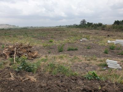 a Place to Call Yours- Tsopoli, Destination Half Plot, Tsopoli Police Barrier, Tsopoli, Ningo Prampram District, Accra, Mixed-use Land for Sale