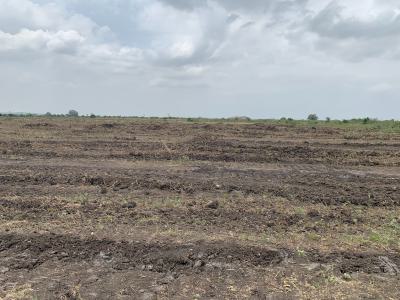 Multi-purpose New Airport City Plots - Tsopoli, Buerko, Tsopoli, Ningo Prampram District, Accra, Residential Land for Sale