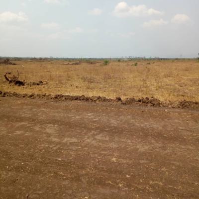 Buy Land in Tsopoli-- Simple, Secure, and Affordable, Tsopoli Junction, Tsopoli, Ningo Prampram District, Accra, Mixed-use Land for Sale