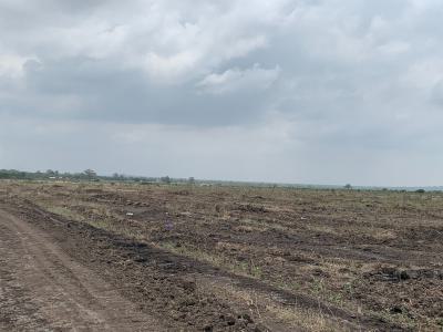 Land to Breathe, Land to Build in Tsopoli, Tsopoli Junction, Tsopoli, Ningo Prampram District, Accra, Mixed-use Land for Sale