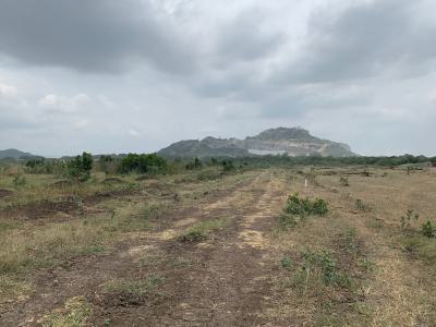 Tsopoli Plot -- Peaceful Area, Big Potential, Tsopoli Junction, Tsopoli, Ningo Prampram District, Accra, Mixed-use Land for Sale