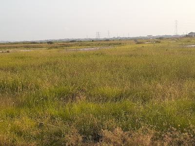 Amazing Half Plots >>> Neat Developed Residence - Tema Community 25, Devtraco Road, Dawhenya, Tema, Accra, Residential Land for Sale