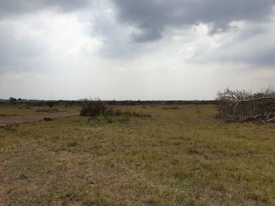 Quiet, Connected Neighborhood -- Tsopoli 70x100ft Plot, Tsopoli Junction, Tsopoli, Ningo Prampram District, Accra, Mixed-use Land for Sale