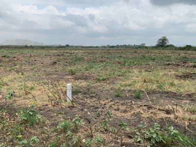 Calm Area, Clean Papers--- All Available in Tsopoli, Tsopoli Junction, Tsopoli, Ningo Prampram District, Accra, Mixed-use Land for Sale