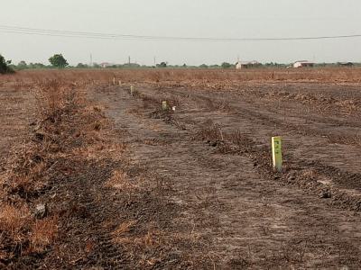 Land to Breathe, Land to Build in Tsopoli, Tsopoli Junction, Tsopoli, Ningo Prampram District, Accra, Mixed-use Land for Sale