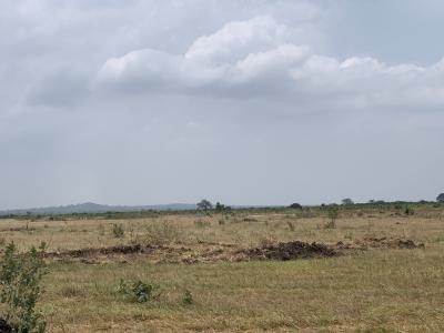 Own Land in Tsopoli -- Budget-friendly & Secure, Tsopoli Junction, Tsopoli, Ningo Prampram District, Accra, Mixed-use Land for Sale