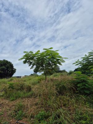 Prime Plots in an Upscale Neighbourhood, Danyame, Kumasi Metropolitan, Ashanti, Land for Sale
