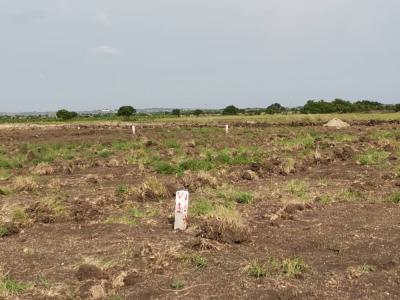Secure Full Plot with Phone Call @ Tsopoli New Airport City, Buerko, Tsopoli, Ningo Prampram District, Accra, Mixed-use Land for Sale