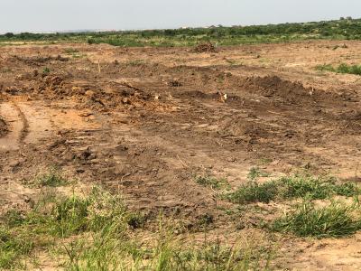 Your Next Move Starts in Dawhenya -- Serviced & Secured, Lakpleku, Dawhenya, Tema, Accra, Mixed-use Land for Sale