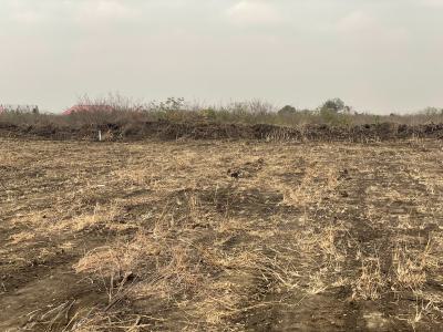 Unique Lands @ Tsopoli New Airport City, Police Barrier, Tsopoli, Ningo Prampram District, Accra, Mixed-use Land for Sale