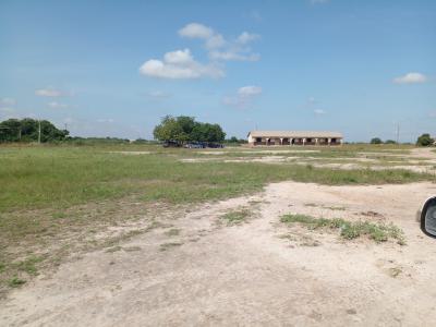 Own with Ease -- Dawhenya Plots for Bold Plans, Lakpleku, Dawhenya, Tema, Accra, Mixed-use Land for Sale