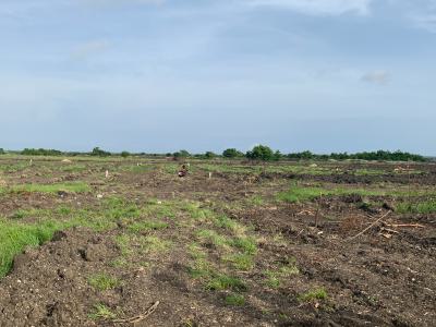 Secure Land in Tsopoli -- Convenient Location, Easy Payment Options, Zion City, Tsopoli, Ningo Prampram District, Accra, Mixed-use Land for Sale