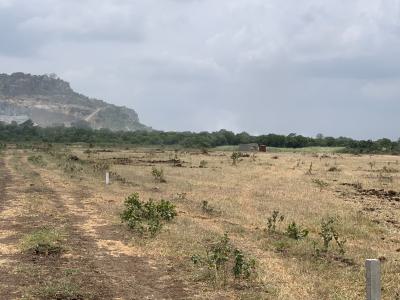 Nature Meets Opportunity-- Plot Near Affordable Housing Units, Zion City, Tsopoli, Ningo Prampram District, Accra, Mixed-use Land for Sale