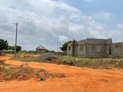 No Floods, No Landguards--- Own It Clean in Prampram, African Ancestral Walls, Prampram, Ningo Prampram District, Accra, Mixed-use Land for Sale