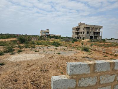Court-stamped Plot with Free Documentation in Prampram, Oasis International Training Center, Ningo Prampram District, Accra, Mixed-use Land for Sale