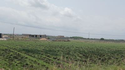 Huge Rush on Registered Half Plot - Tema Community 25, Adom Estate Road, Dawhenya, Tema, Accra, Residential Land for Sale