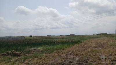Mind Blowing Incentives on Half Plots - Tema Community 25, Adom Estate Road, Community 25, Tema, Accra, Mixed-use Land for Sale