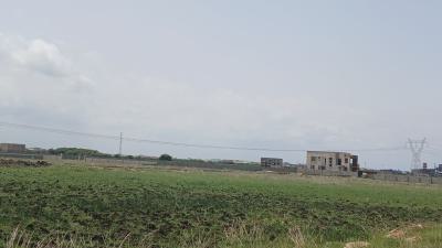 Express Documented on Certified Full Plots - Tema Community 25, Devtraco Road, Tema, Accra, Mixed-use Land for Sale