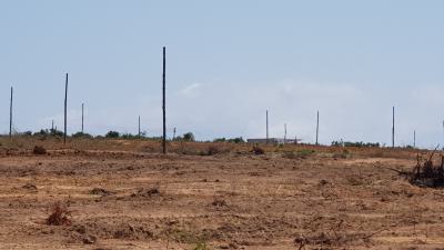 Fresh Deals on Registered Plots in Prampram, New Ningo Police Station, Ningo Prampram District, Accra, Mixed-use Land for Sale