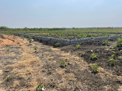 Genuine Plots with Free Documentation -- Limited Offer, Central University, Tsopoli, Ningo Prampram District, Accra, Mixed-use Land for Sale