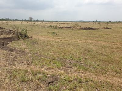 Tsopoli Plots with Full Assurance -- No Stress, Just Value, Tsopoli Junction, Tsopoli, Ningo Prampram District, Accra, Mixed-use Land for Sale