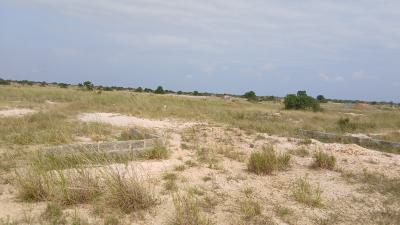 Tsopoli Real Estate Opportunity -- Act Fast, Tsopoli Police Barrier, Ningo Prampram District, Accra, Mixed-use Land for Sale