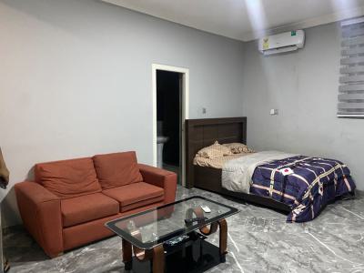 Fully Furnished Studio Apartment, Tseaddo, East Airport, Airport Residential Area, Accra, Single Room Self Contained for Sale
