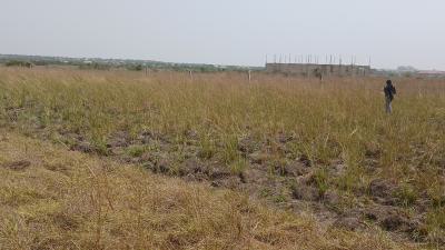Limited, Mixed-use Plots for Grabs-dawhenya, Bueko Destination, Dawhenya, Tema, Accra, Residential Land for Sale