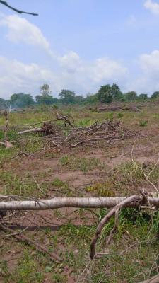 Affordable Land in Koforidua, Koforidua, Eastern Region, Mixed-use Land for Sale