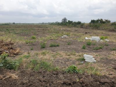 Buy Once. Own Forever.--- Documented Plots, Zion City, Tsopoli, Ningo Prampram District, Accra, Land for Sale