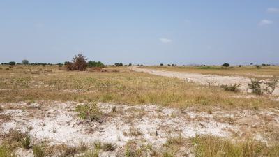 Secure Your Registered Plot Before Prices Rise, Zion City, Tsopoli, Ningo Prampram District, Accra, Mixed-use Land for Sale